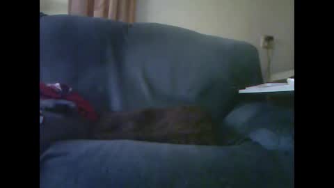 Snapshot of lion160868 chatting on November 2025 09:23:01 AM lion160868 online show from November 2025 09:23:01 AM