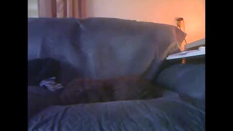 Snapshot of lion160868 chatting on January 2026 09:13:01 AM lion160868 online show from January 2026 09:13:01 AM