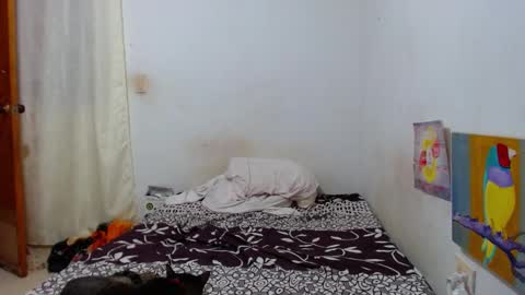 Snapshot of lion_grr chatting on December 2025 02:16:01 AM lion_grr online show from December 2025 02:16:01 AM