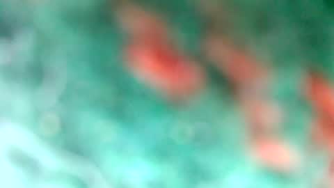 Snapshot of lionelearthquake chatting on March 2025 04:18:01 PM lionelearthquake online show from March 2025 04:18:01 PM