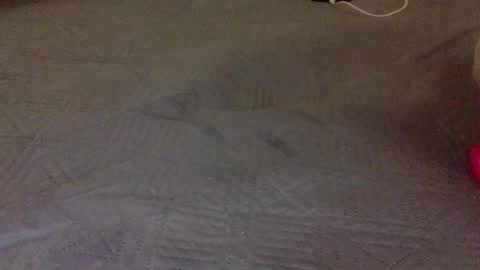 lipinhofortal853516 online show from November 2025 12:31:02 AM