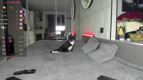 Snapshot of lisa__fox chatting on November 2025 02:45:02 PM Lisa online show from November 2025 02:45:02 PM