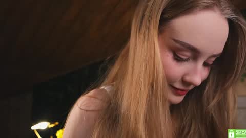 Snapshot of lissa_meooow chatting on March 2026 02:54:01 PM your Liza again. Next stream Dec. 1 at 2 or 3 GMT online show from March 2026 02:54:01 PM