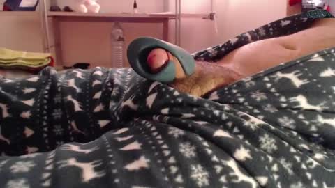 litlediky online show from December 2024 06:41:02 AM