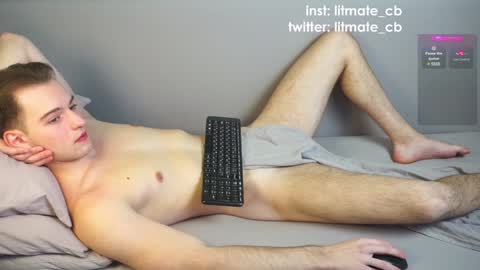 Snapshot of litmate chatting on December 2024 01:47:02 AM ask me online show from December 2024 01:47:02 AM