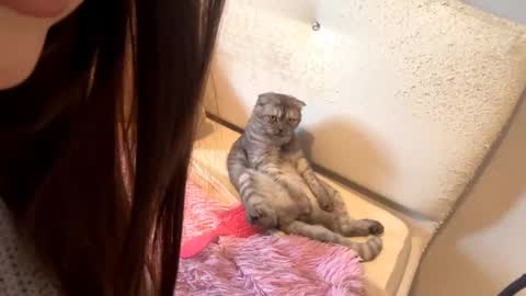 Catherine online show from October 2025 02:09:01 AM