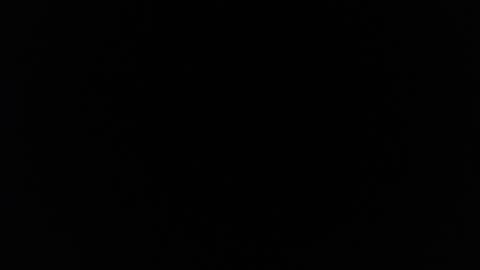 little_bunny_v online show from February 2026 08:05:02 PM