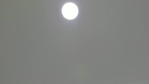 little_melanie online show from July 2026 11:37:02 AM
