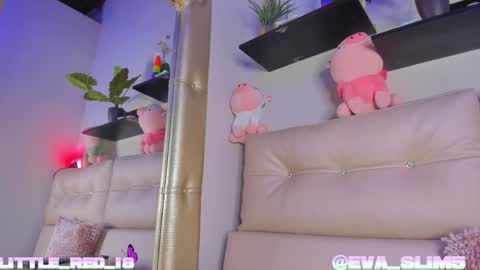 Snapshot of little_red_18 chatting on January 2025 12:46:01 AM Eva online show from January 2025 12:46:01 AM