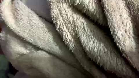 Snapshot of little_sissy_wendy chatting on February 2025 09:33:02 PM little_sissy_wendy online show from February 2025 09:33:02 PM