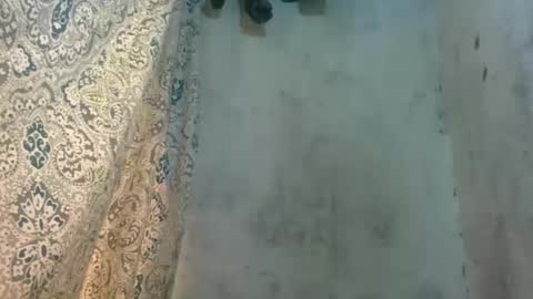 edra online show from October 2025 05:18:01 AM