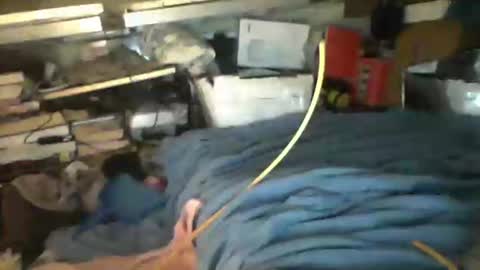 Snapshot of littlejay4773 chatting on October 2025 07:17:02 AM littlejay littlejay online show from October 2025 07:17:02 AM