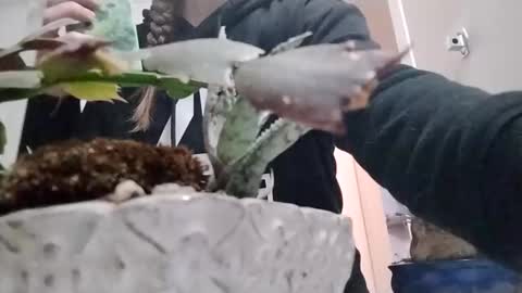 littleleo96 online show from October 2025 11:08:02 AM