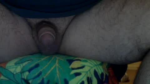 LittlePenie online show from July 2026 12:32:02 PM