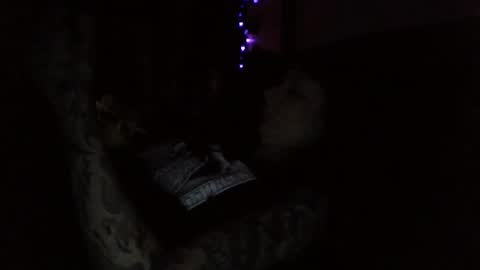 Snapshot of livmirage chatting on November 2025 10:48:02 AM Liv Mirage online show from November 2025 10:48:02 AM