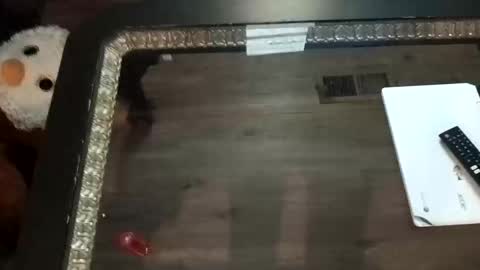 Snapshot of ljandcherry chatting on November 2025 07:21:01 AM LjCherry online show from November 2025 07:21:01 AM