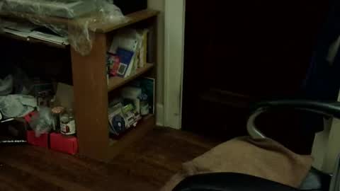 loades182025 online show from November 2025 03:40:02 AM