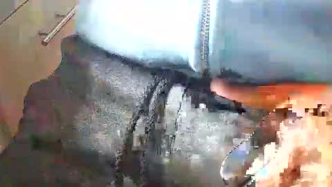 loboxavi online show from September 2025 01:35:02 PM