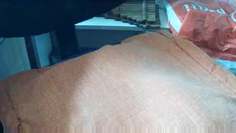 loboxavi online show from September 2025 01:23:02 PM