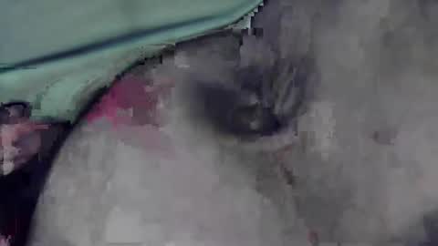 lofkok online show from March 2025 04:13:02 PM