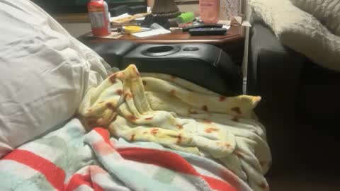 Snapshot of logical12345 chatting on December 2025 03:22:01 AM logical12345 online show from December 2025 03:22:01 AM