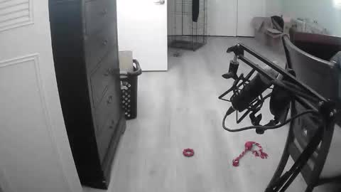 Snapshot of lohangwang69 chatting on February 2026 09:44:01 PM lohangwang69 online show from February 2026 09:44:01 PM