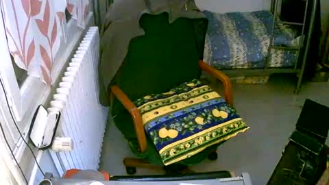 Snapshot of lokoum39 chatting on December 2024 05:15:02 PM lokoum39 online show from December 2024 05:15:02 PM