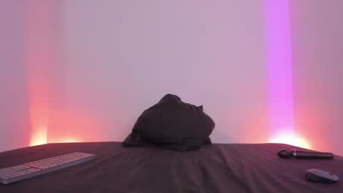 Lola online show from January 2025 08:00:01 PM