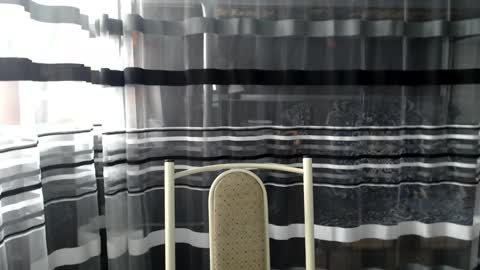 Snapshot of lollifox_1 chatting on October 2025 07:07:01 AM Lisa online show from October 2025 07:07:01 AM