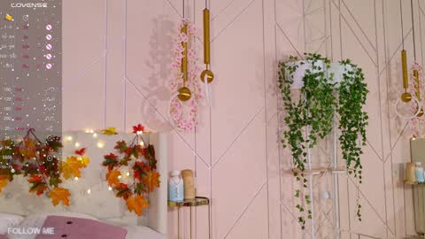 Lolly online show from January 2025 11:22:02 AM