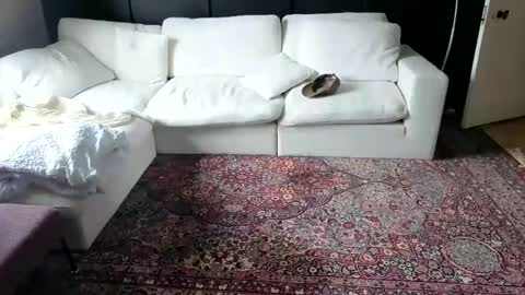 Em online show from February 2026 09:13:02 AM