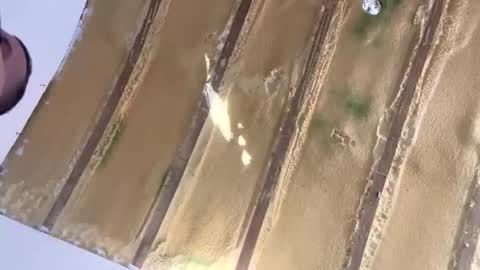 londonsbigbenxxx online show from September 2025 09:25:02 AM