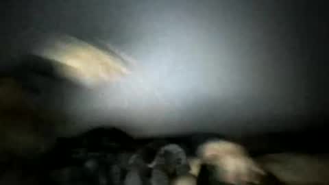 lonelyheart044 online show from April 2026 05:05:01 AM