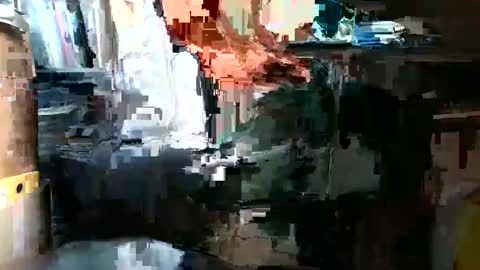 Pumabreizh online show from February 2025 01:08:02 PM