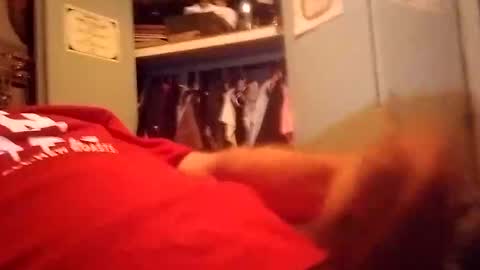 Snapshot of longdongsilverj chatting on January 2025 11:10:02 AM longdongsilverj online show from January 2025 11:10:02 AM