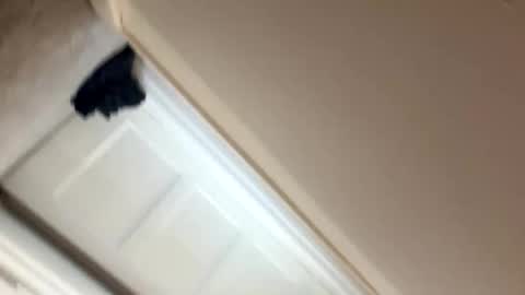 longlegs988 online show from February 2026 01:37:01 PM