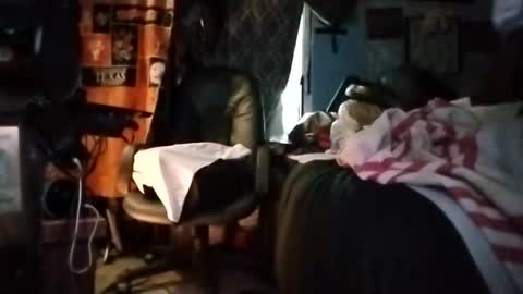 Snapshot of longloadedtx chatting on March 2026 05:31:01 PM Mr. FogoDeChao online show from March 2026 05:31:01 PM