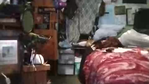 Snapshot of longloadedtx chatting on March 2026 05:42:02 PM Mr. FogoDeChao online show from March 2026 05:42:02 PM