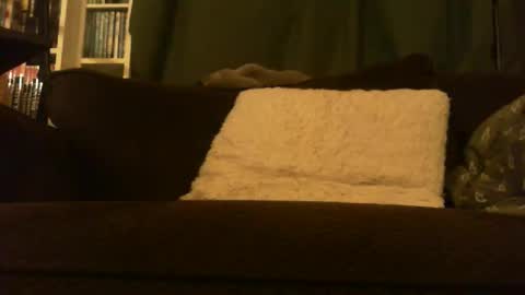 Snapshot of longlorne chatting on February 2026 04:31:01 AM longlorne online show from February 2026 04:31:01 AM