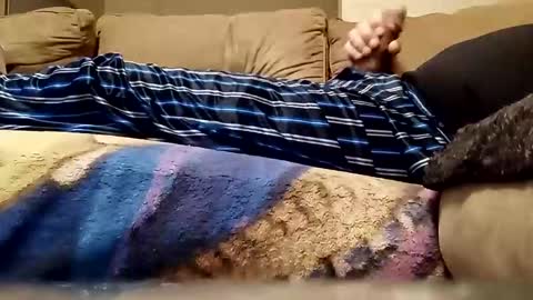 looking4bush online show from February 2026 06:14:02 AM