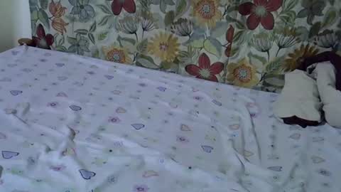 lora_amor online show from April 2026 09:26:02 AM