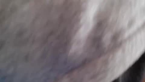 Snapshot of lordhealt chatting on April 2026 01:17:01 PM lordhealt online show from April 2026 01:17:01 PM