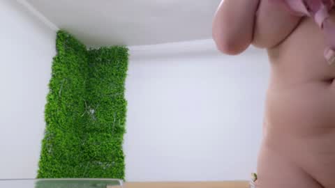 Amelia online show from February 2025 07:58:02 PM