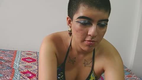 lotto_bloom online show from February 2026 09:09:02 PM