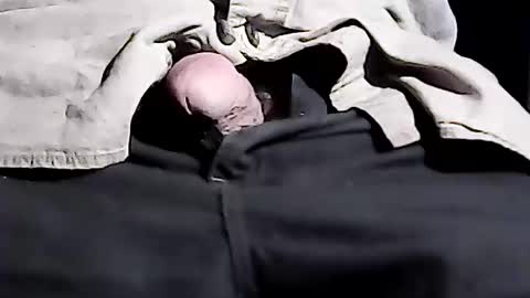 loudiamondmushroom online show from June 2026 10:36:02 PM