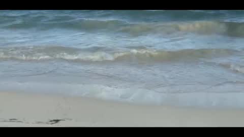 Louis online show from November 2025 09:04:01 PM