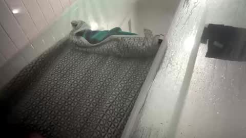 lovefeetonmyface29 online show from September 2025 09:55:01 AM