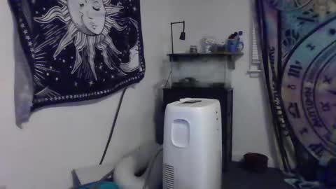 Snapshot of lovefun11334 chatting on December 2024 03:37:02 AM Bigtitsgirl113 online show from December 2024 03:37:02 AM