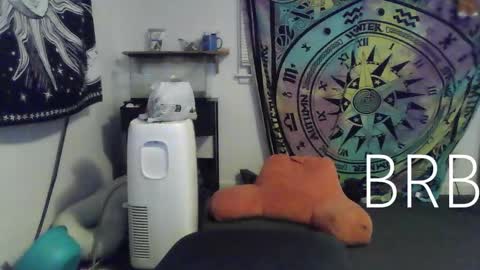 Snapshot of lovefun11334 chatting on January 2025 12:46:01 AM Bigtitsgirl113 online show from January 2025 12:46:01 AM