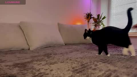 Snapshot of lovelorn_ chatting on October 2025 06:34:01 AM Elsa online show from October 2025 06:34:01 AM